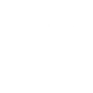 Korg